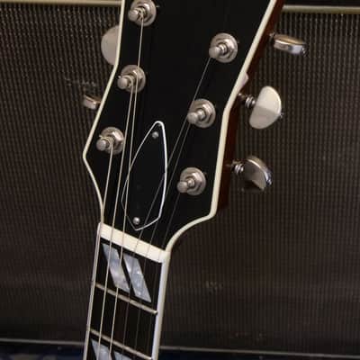 Frank Brothers Guitar Co. Arcade Thinline 2025 - Brown Sugar Sparkle image 12