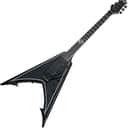 Schecter Ravendark V Floyd Rose, Gloss Black w/Silver Pin Stripes 287