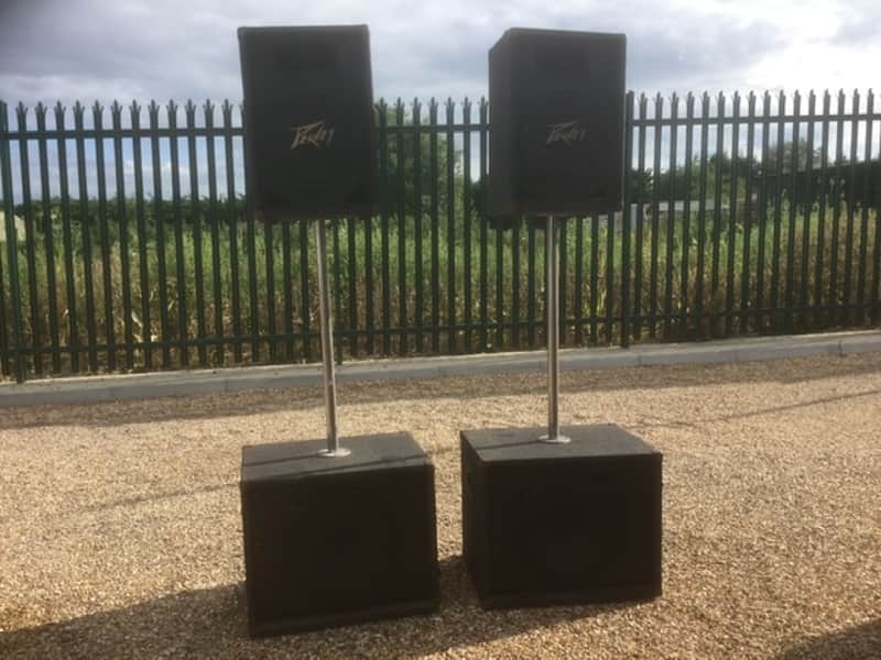 Peavey Bass Flex Bins and ES12 PA Speakers image 1