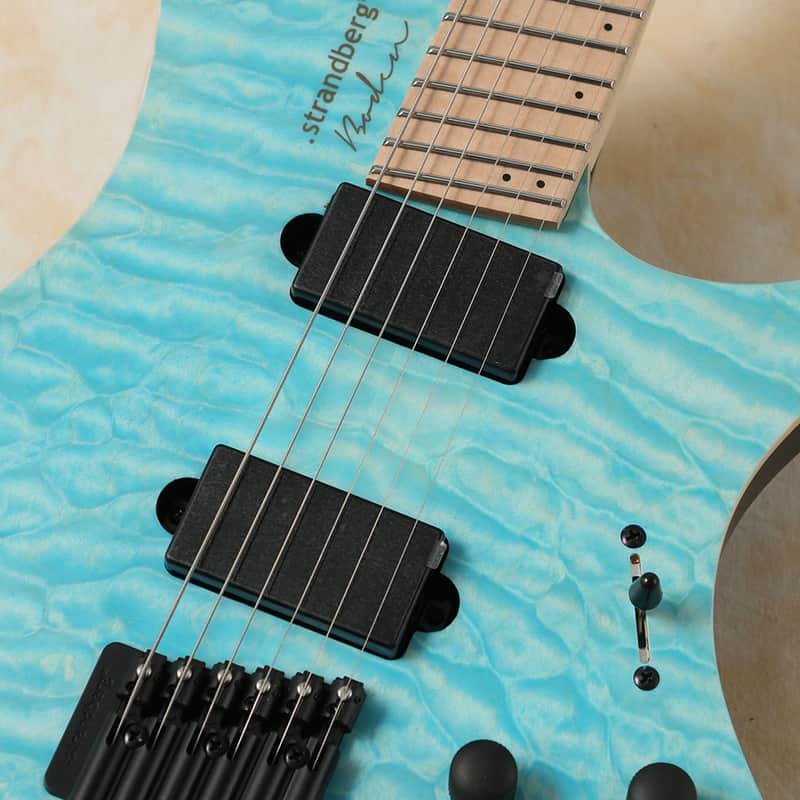Strandberg Boden RAS 6 | Reverb