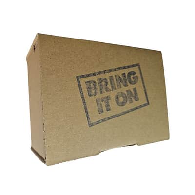 FwS Bring It On Ring Mod Eurorack Synth Module *USA Small Business* image 4