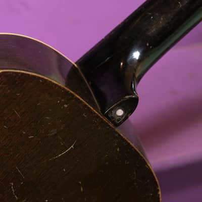1930s Regal Dobro-Cone Spider-Bridge Resonator Guitar (Vintage, Old, Antique) image 10