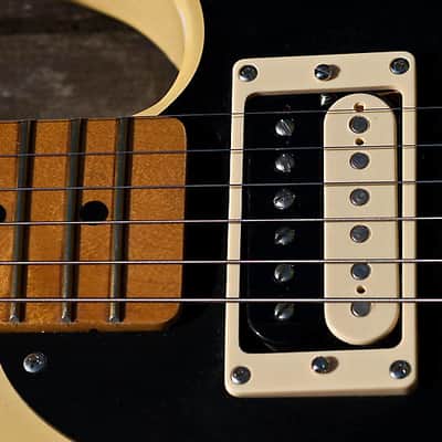 ESP Edwards E-TE-118 Relic Jeff Beck Tele-Gib Replica Fender Telecaster image 9