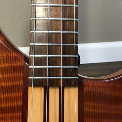 Peavey Cirrus USA image 11