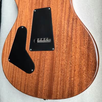 PRS Custom 24 Floyd 10 top 2014 - Black Gold Brazilian Fretboard Wood Library image 7