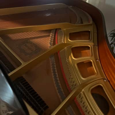 Yamaha Baby Grand Piano - Black image 2