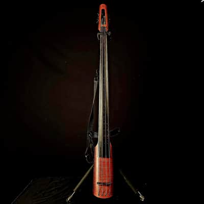 NS Design NXT4 Double Bass image 1