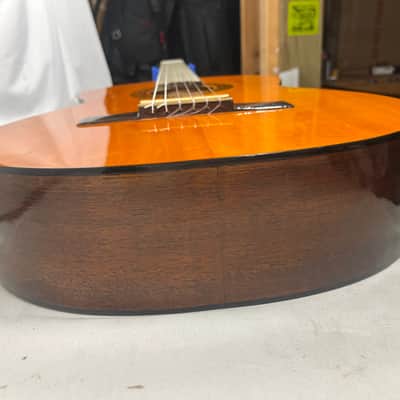 Alvarez Regent 4103 Classical Acoustic Guitar image 18