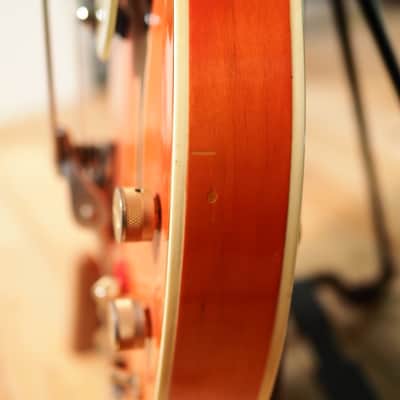 Gretsch 6120 DC Chet Atkins from 1964 image 12