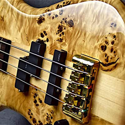 Spector Left Handed Euro 4LX 2016 Poplar Burl Lefty Bass Guitar image 2