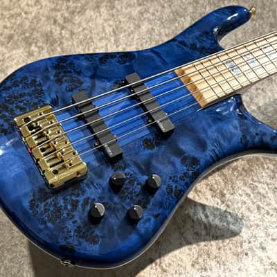 Spector Euro 5 CST Black & Blue w/White Back Gloss [3.98kg] image 7