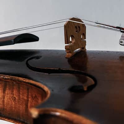 1920 vintage anonymous german “model Stradivari” style imagen 3