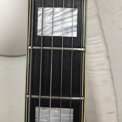 Teisco Vamper 1968 semi-hollow  Rarest of the rare! image 4