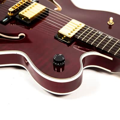 Gibson Chet Atkins Country Gentleman Owned by Brian Setzer image 15