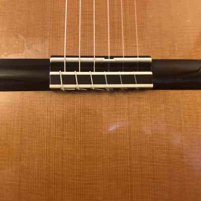 Kolya Panhuyzen Classical Guitar 2012 Cedar/Ziricote image 4