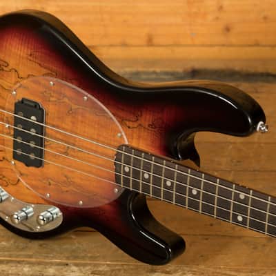 Sterling RAY34SM StingRay Bass - Spalted 3-Tone Sunburst image 5