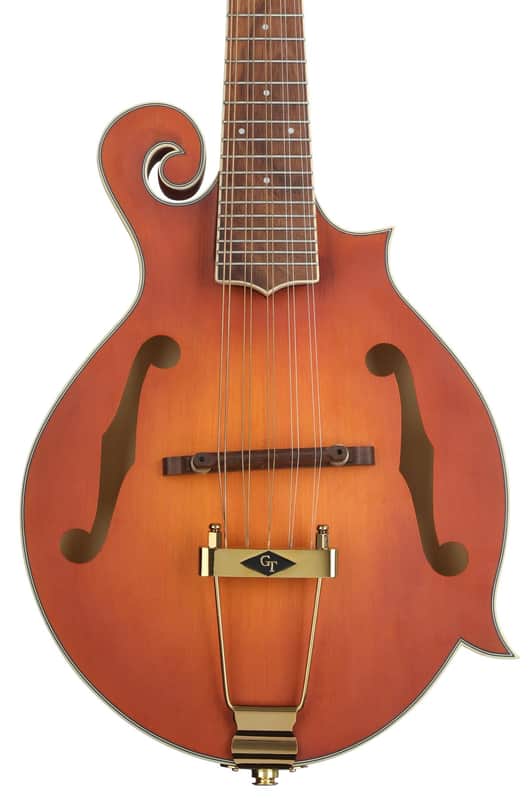 Gold Tone F-10 10-string F-Style Acoustic-electric Mandolin image 1