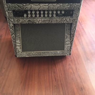 Kasha Combo Guitar Amplifier with Robocab 2014 - Snake/Python image 4
