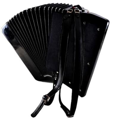 Top German Made Accordion Weltmeister Supita 120 bass - DOUBLE TONE CHAMBER - Cassotto - Video image 5