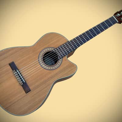 Rare Vintage Handcrafted Vantage VSC-20 CE Nylon Classical Acoustic/Electric Guitar w/Cutaway & Pickup/Preamp image 7