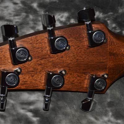 2021 Breedlove - Discovery Concert - Sunburst image 6