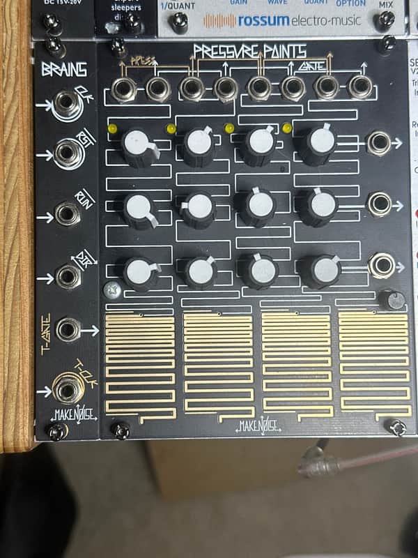 Make Noise Pressure Points Module 2008 - Present - Black & Gold including Brains 2 modules image 1