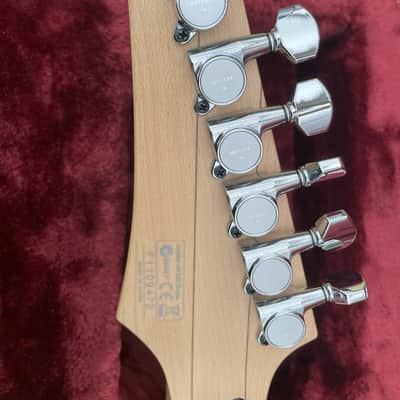 Ibanez JEM77-FP2 Steve Vai Signature 2010 - 2018 - Black Floral Pattern 2 image 15