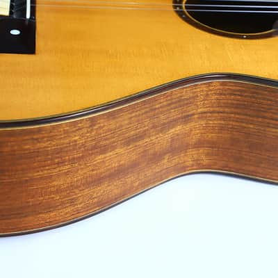 Eugenio Riba 2015 Classical Guitar – Masterful Copy of an Antonio de Torres Guitar - Check Video! image 14