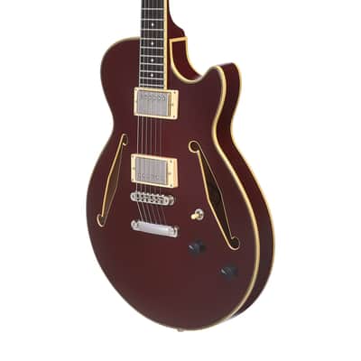 D'Angelico Excel SS Tour Solid Wine + Bag image 2