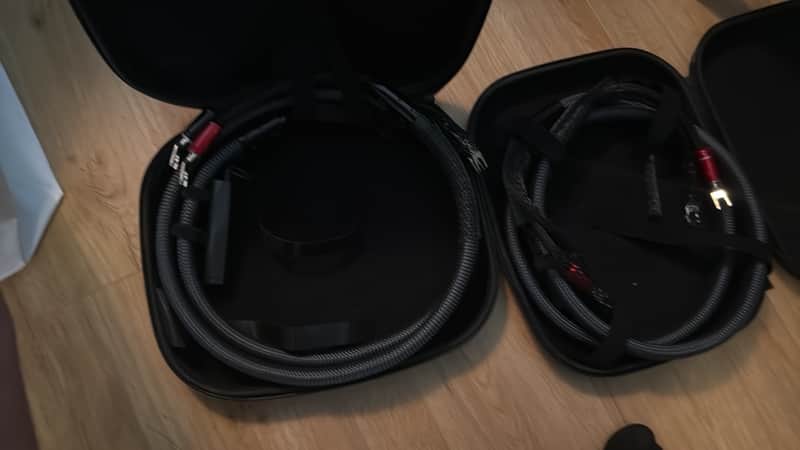 Audioquest 2 meter - Dragon Speaker Cable PSS Silver Full-Range HiFi image 1
