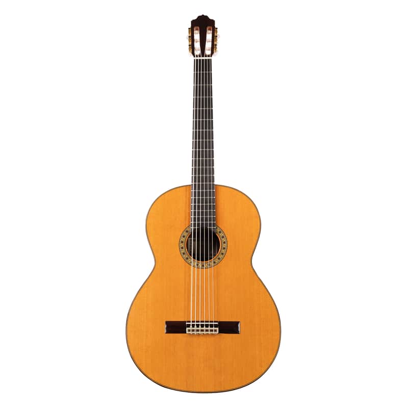 6 String Contrabass Guitar (Octave Bass) - Esteve PS75 - All Solid Wood/Cedar/Indian Rosewood - 750mm Scale Length image 1
