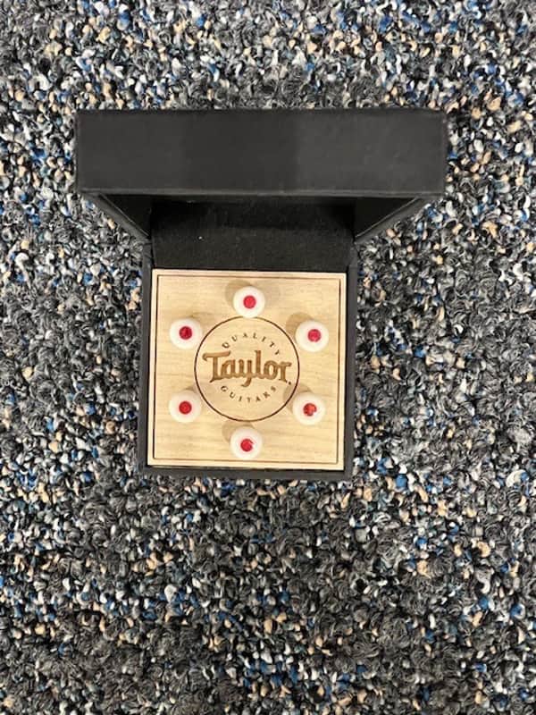 Taylor Bridge Pin Set Bone White w/ Red Opal image 1
