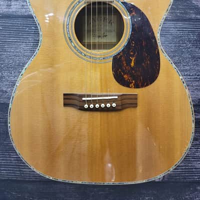 Zager ZAD9000MCE Acoustic Electric Guitar (San Antonio, TX) image 3