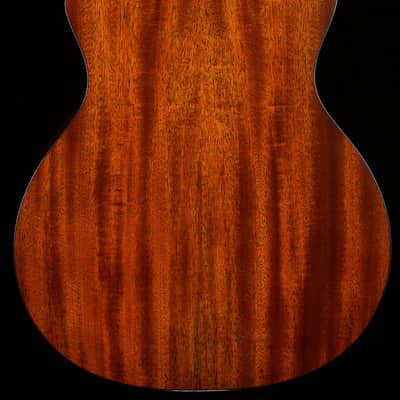 Martin GPC-16E Mahogany (006) image 4