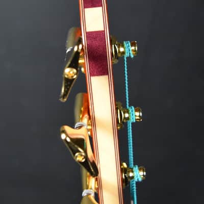 Alembic Dragon Wing 2018 Cocobolo image 12