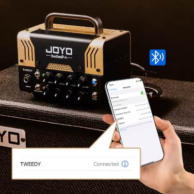 JOYO TWEEDY XL 20W BanTamp Mini Guitar Amplifier Tube Head 2 Channel Rock American Sounds image 10