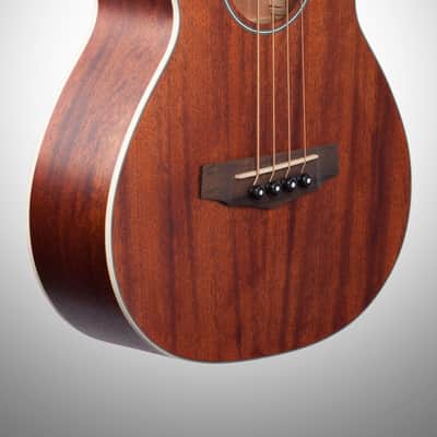 Ibanez PNB14E Performance Parlor Acoustic-Electric Bass Guitar, Open Pore Natural image 2