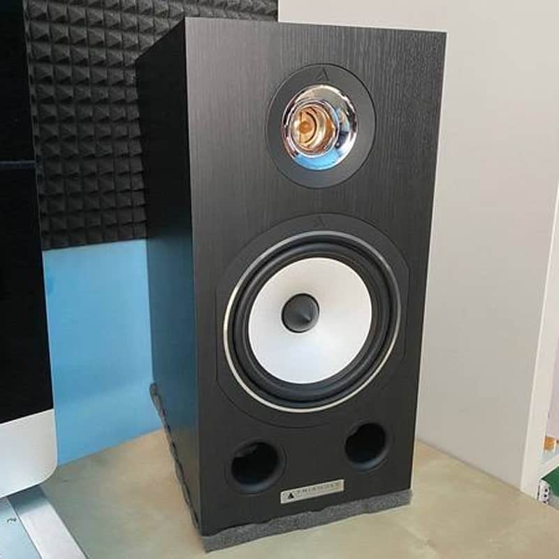 X2 TRIANGLE ESPRIT Comète EZ BLACK | HI FI MONITORS | image 1