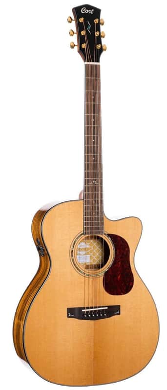 Cort Gold-OC6 Bocote Natural Gloss w/Gigbag image 1