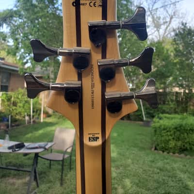 ESP LTD ACTIVE 5 string Bass Spalted Maple with EXTRAS **minty** image 7