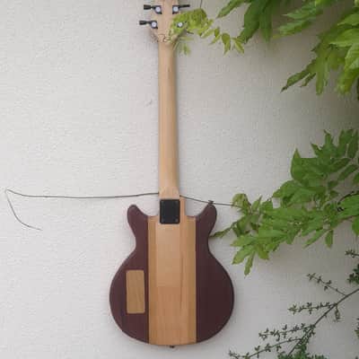 AVALON - Handcrafted Custom Electric Guitar. Made from Beech, Jabota, Chestnut. The only one of its kind in the World!! image 6