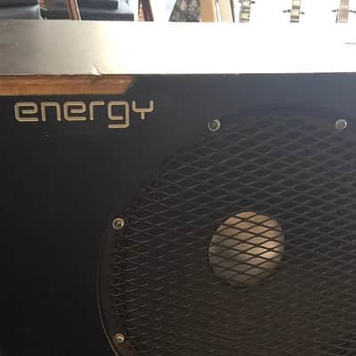 Used Energy 2x15 Bass Cabinet W/ Road Case Owned by Stu Hamm image 2