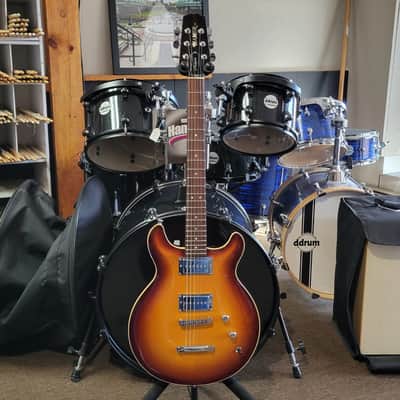 Hamer Newport Custom 2007 Jazz Burst image 2