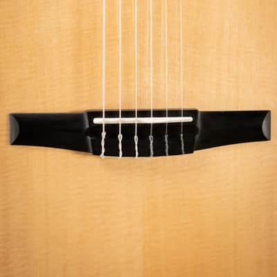 Taylor 312ce-N Nylon Grand Concert Acoustic/Electric Guitar with Hardshell Case image 9