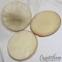*Ludwig Whitecalf 13" Calf Skin Heads Lot 3x Vintage 50s Tom Drum Calfskin*