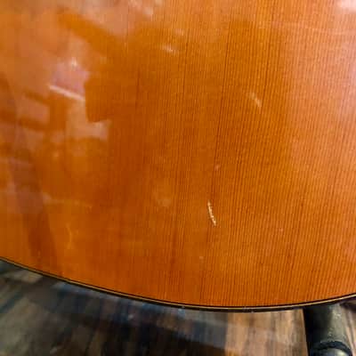 Miguel Angel S.L. Vintage 80's Classical Guitar -Cedar image 8
