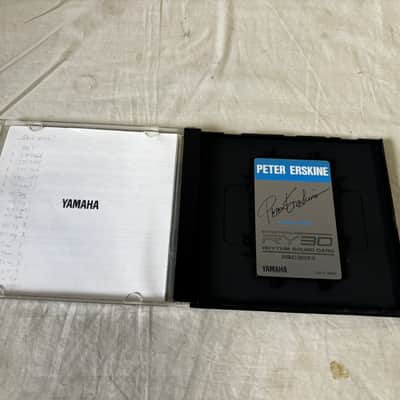 YAMAHA RHYTHM SOUND CARD RSC3074 PETER ERSKINE RY30 w/ case image 2