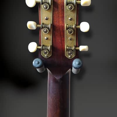 Iris Guitar Company DWH SB image 9