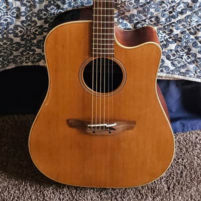 Takamine EAN10C Pro Series Electric Acoustic Dreadnought w/HSC - Satin image 1