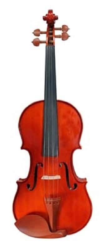 Oxford 3/4 Violin Boxwood #OVB-2 image 1